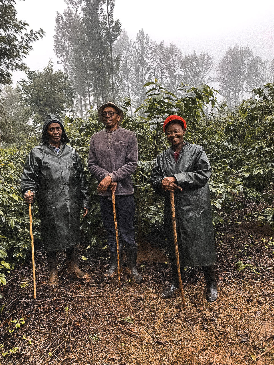 Gilead Estate Kenya